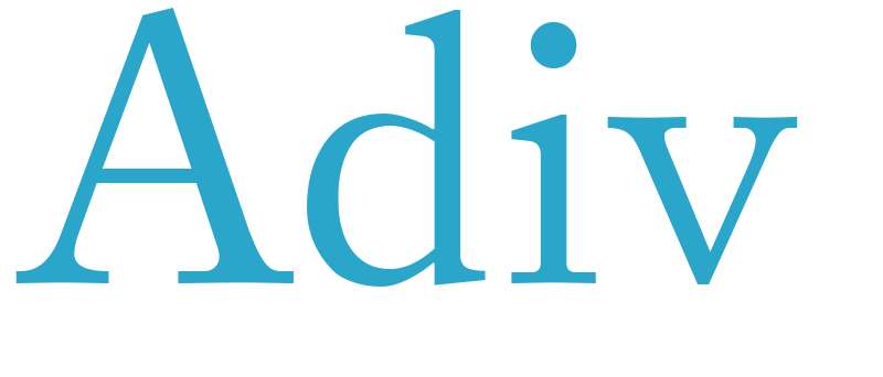 Adiv - boys name