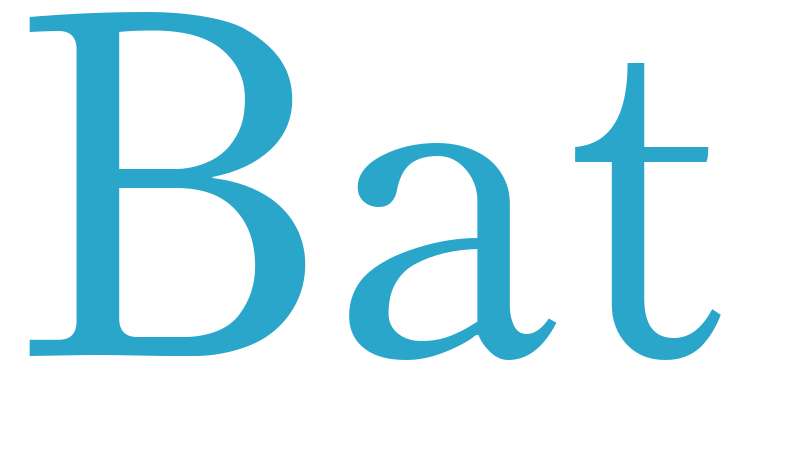 Bat - boys name