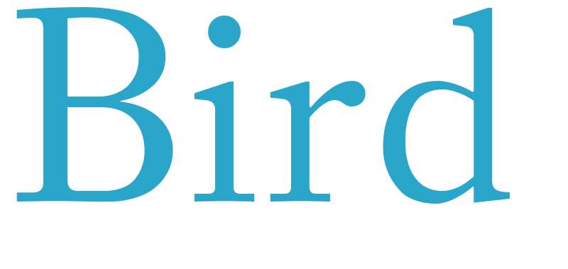 Bird - boys name