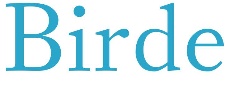 Birde - boys name