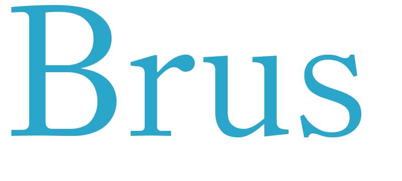 Brus - boys name