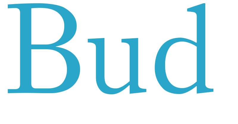 Bud - boys name