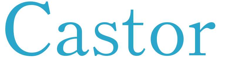 Castor - boys name