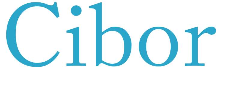 Cibor - boys name