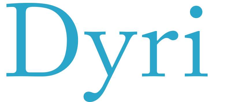 Dyri - boys name