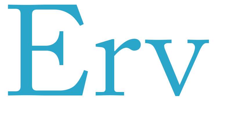 Erv - boys name