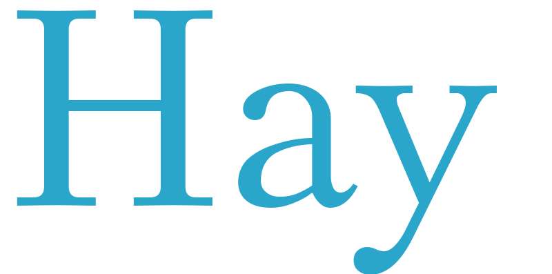 Hay - boys name