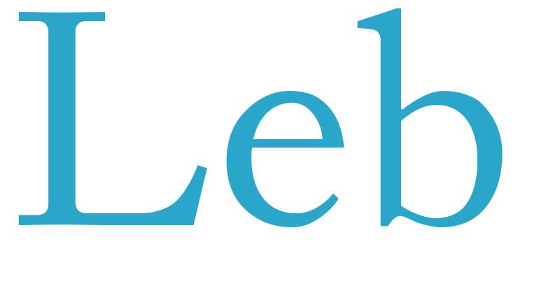 Leb - boys name