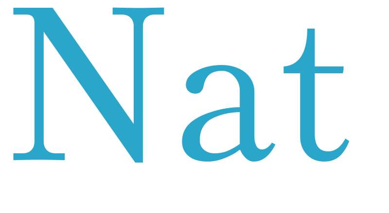 Nat - boys name