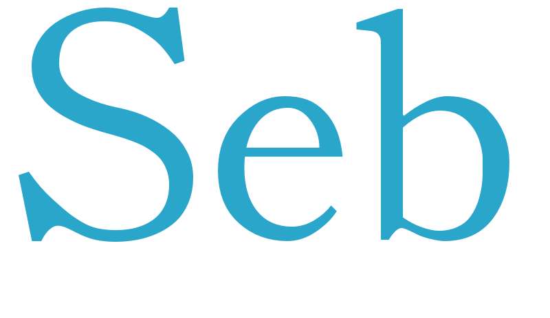 Seb - boys name