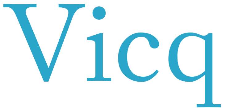 Vicq - boys name