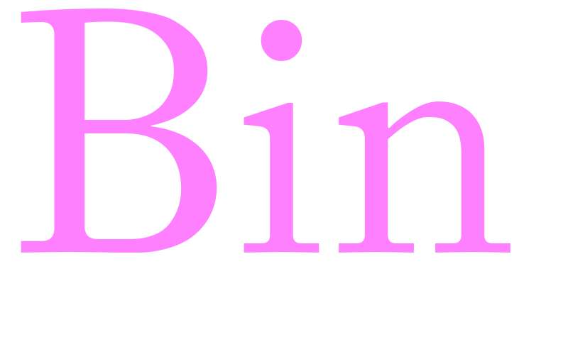 Bin - girls name