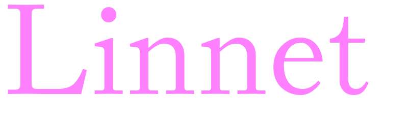 Linnet - girls name